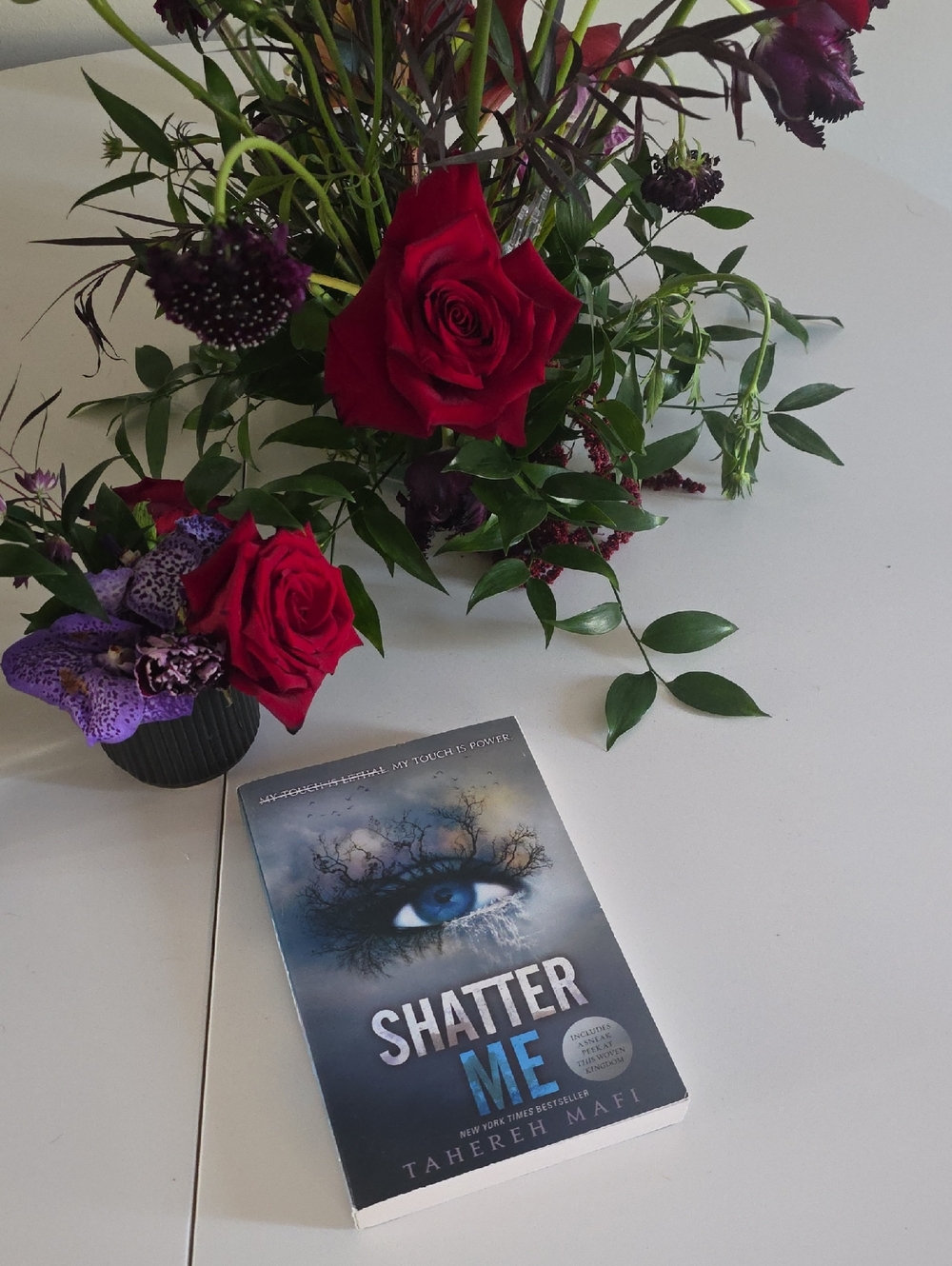 Shatter Me by Tahereh Mafi - Blue Cover Paperback